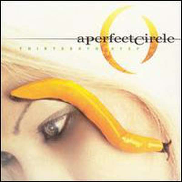 A Perfect Circle – Thirteenth Step cover artwork