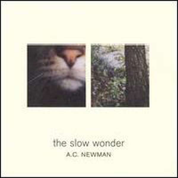 A.C. Newman – The Slow Wonder cover artwork