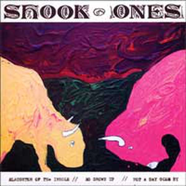 Shook Ones – Slaughter of the Insole cover artwork