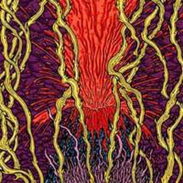 Zozobra – Harmonic Tremors cover artwork