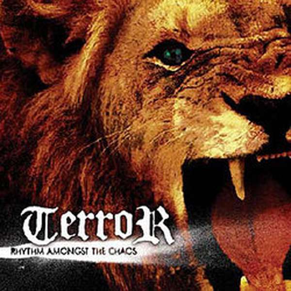 Terror – Rhythm Amongst the Chaos cover artwork