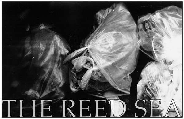 The Reed Sea – No Help cover artwork