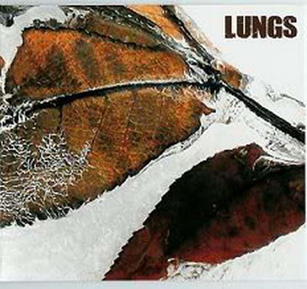Lungs – Lungs cover artwork