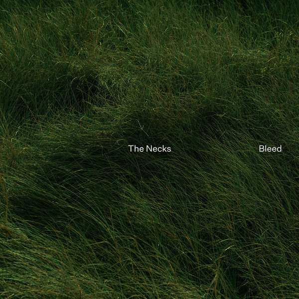 The Necks – Bleed cover artwork