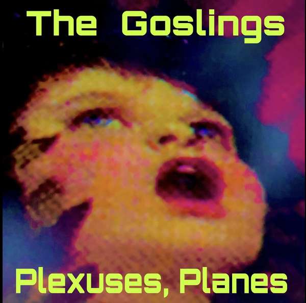 The Goslings – Plexuses, Planes cover artwork