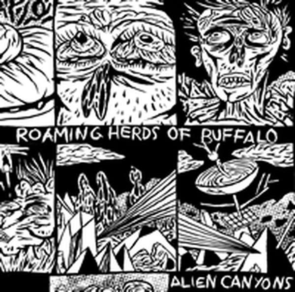 Roaming Herds of Buffalo – Alien Canyons cover artwork