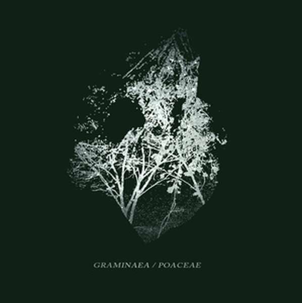 Sequences & Isolated Existence – Graminaea / Poaceae cover artwork