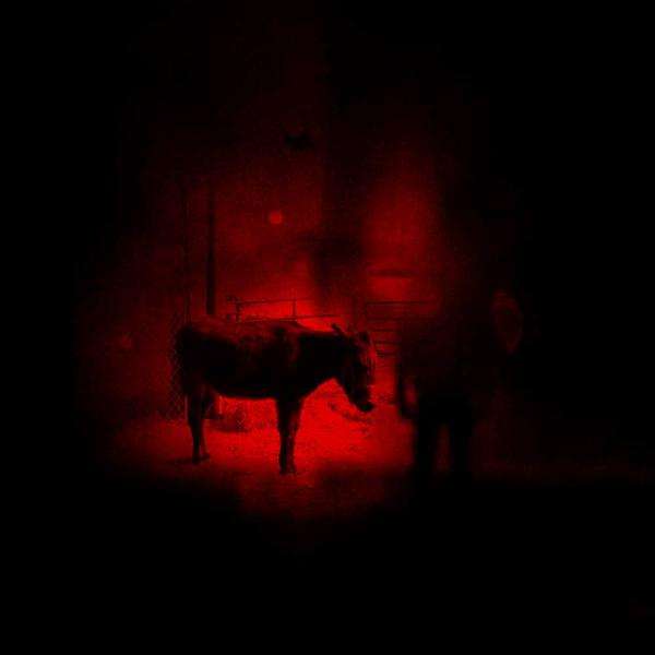 Time Thieves &ndash; Come Home/If You Survive Extended Edition cover artwork