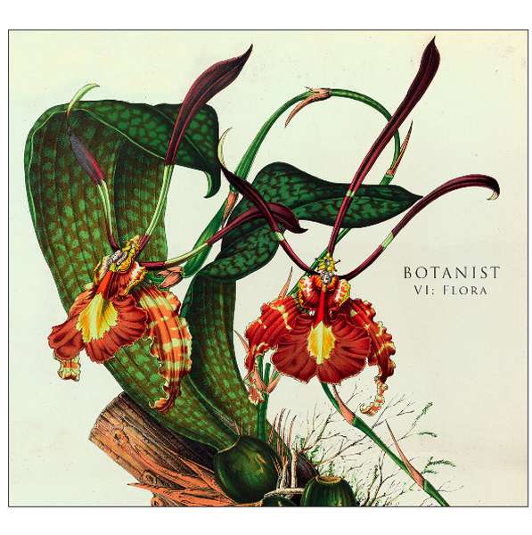 Botanist – VI: Flora cover artwork