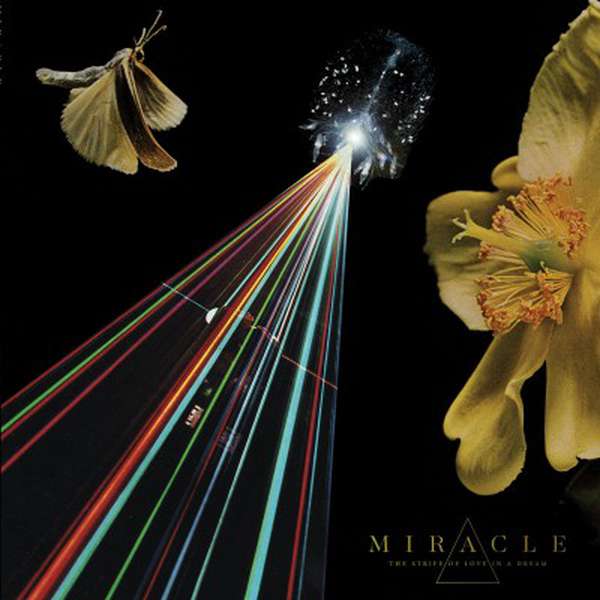 Miracle – The Strife of Love in a Dream cover artwork