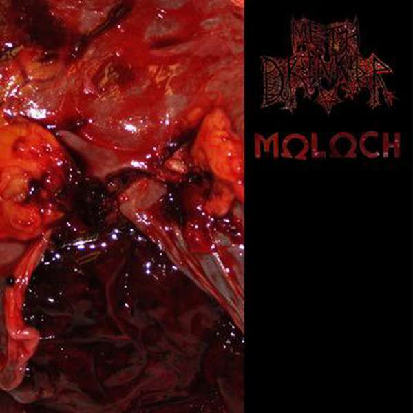 Various Artists – Moloch / Meth Drinker - Split LP cover artwork