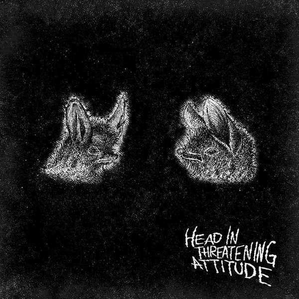 Natterers – Head In Threathening Attitude cover artwork