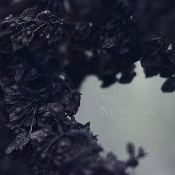 Nebelung – Palingenesis cover artwork