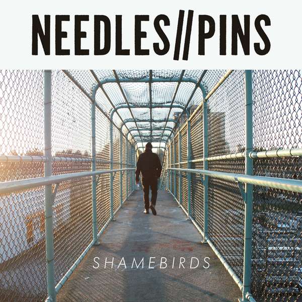 Needles//Pins – Shamebirds cover artwork