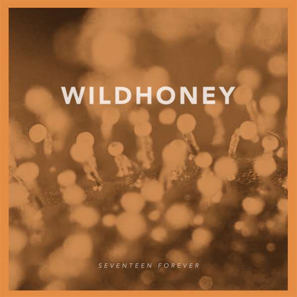Wildhoney – Seventeen Forever cover artwork