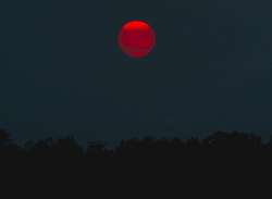 Scatenato Ma Non Troppo #3