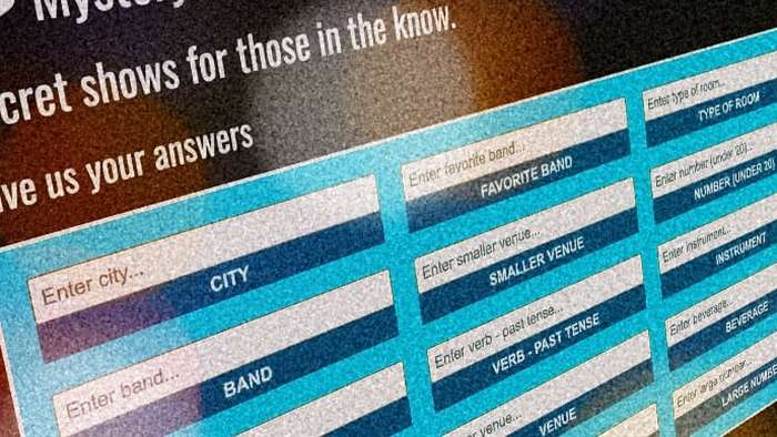 FEST LIBS 24 & Fest Survey Findings