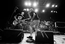 Descendents