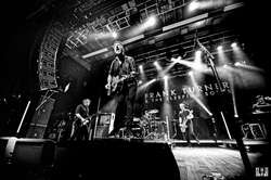 Frank Turner