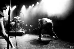 HORSE the Band