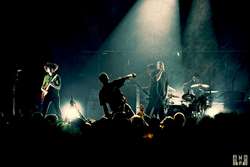 Poison the Well