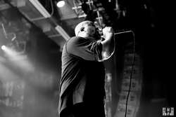 Poison the Well