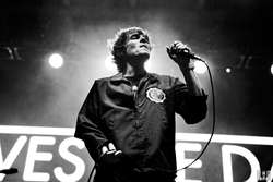 Saves the Day