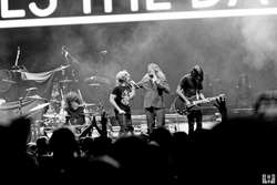 Saves the Day