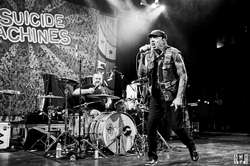 The Suicide Machines