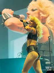 Amyl and The Sniffers