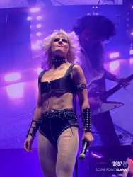 Amyl and The Sniffers