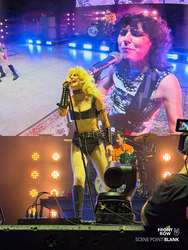 Amyl and The Sniffers