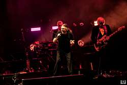 Weird Al Yankovic