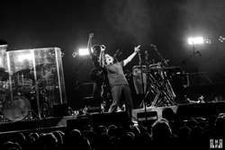 Weird Al Yankovic