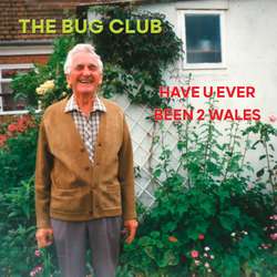 Bug Club - Have U Ever Been 2 Wales